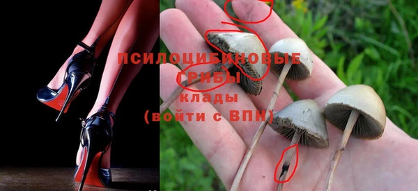 стафф Новокубанск