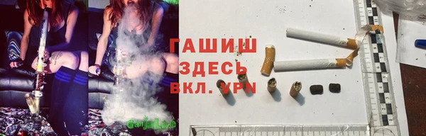 стафф Новокубанск