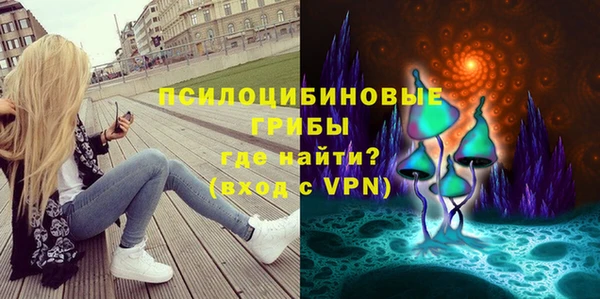 ECSTASY Новодвинск