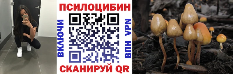 Псилоцибиновые грибы ЛСД  Купить где  Кострома 